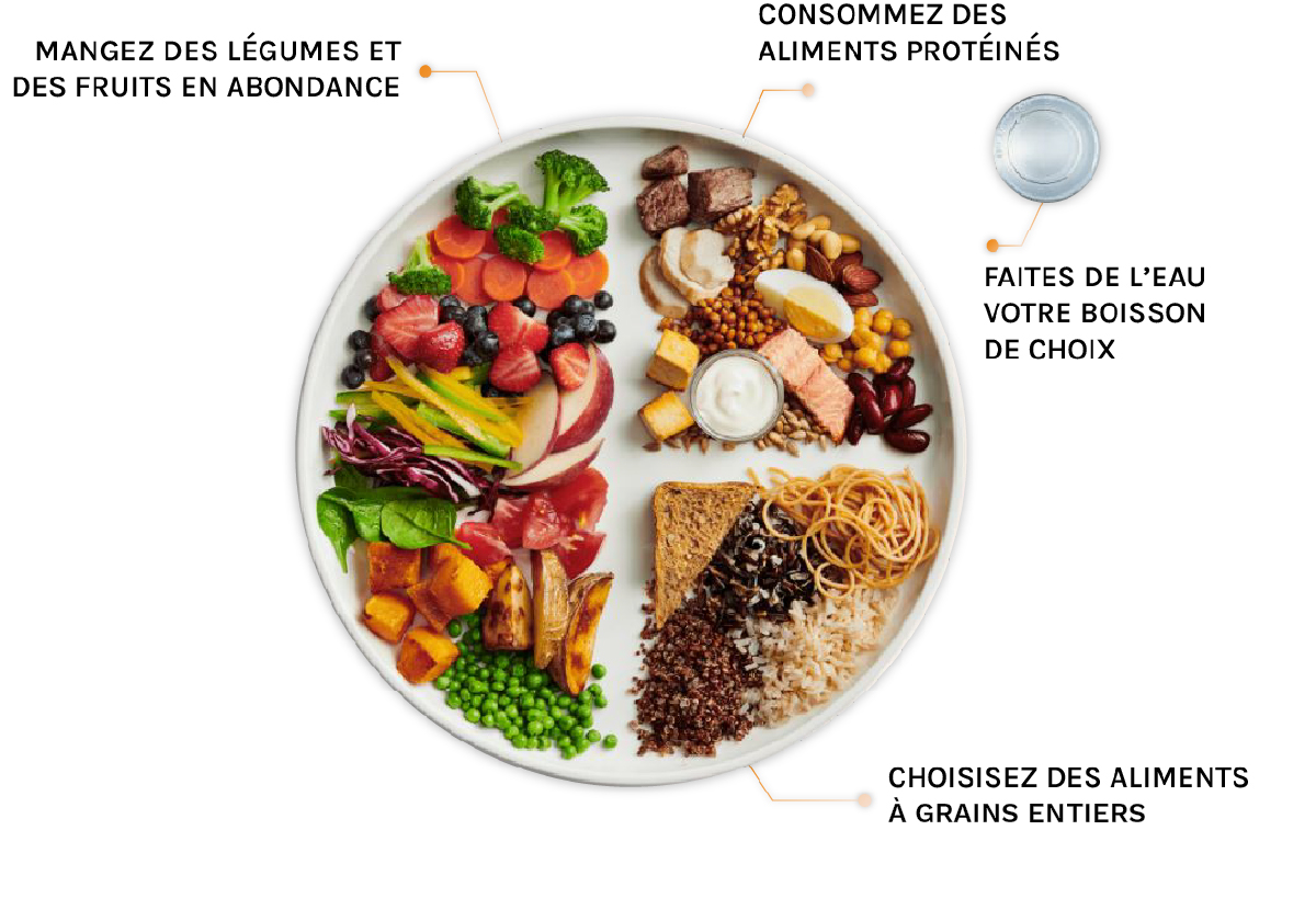 visuel-assiette2